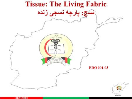 Tissue: The Living Fabric نسج: پارچه نسجی زنده