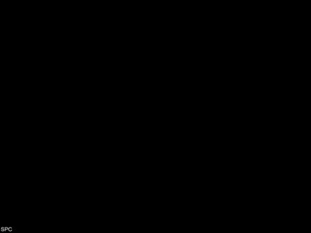 SPC. First Century Christianity In the Twenty-First Century Establishing Bible Authority.