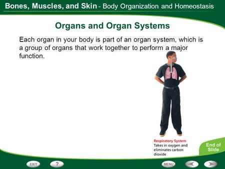 Organs and Organ Systems