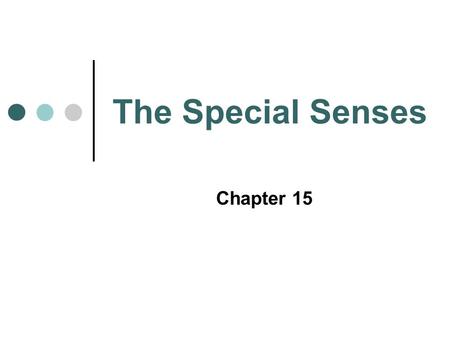 The Special Senses Chapter 15. GUSTATORY SENSATION.