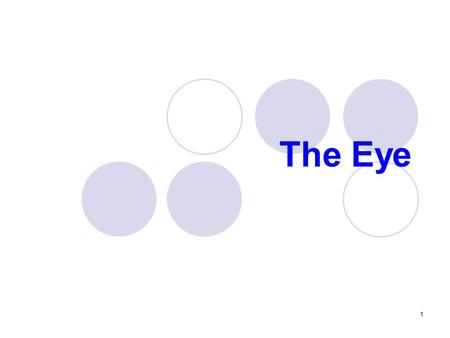 The Eye 1. Lacrimal apparatus  Lacrimal glands Superior and lateral in each eye Produces tears Several small ducts liberate the tear continually  Excretory.