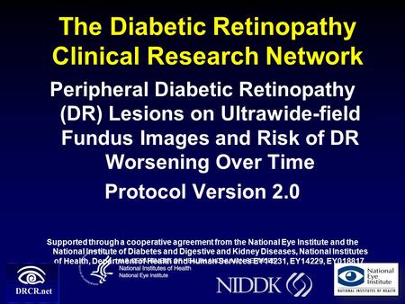 The Diabetic Retinopathy Clinical Research Network