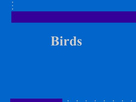 Birds I. Bird Characteristics 1. forelimbs modified into wings 2. hindlimbs modified for swimming, walking or perching. 3. Feathers 4. Warmblooded.