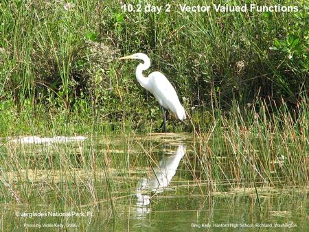 10.2 day 2 Vector Valued Functions Greg Kelly, Hanford High School, Richland, WashingtonPhoto by Vickie Kelly, 2006 Everglades National Park, FL.