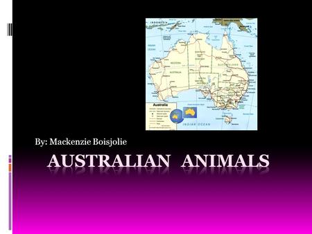 By: Mackenzie Boisjolie. Platypus  The platypus is a egg laying mammal of eastern Australia.  It has a duck like bill and a wide flat tail.  It is.