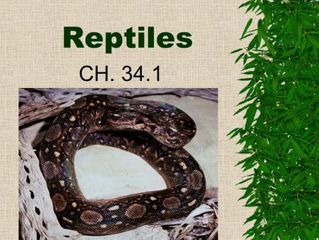 Reptiles CH. 34.1 I. Characteristics  A. Reptile means “one who crawls.” –The study of reptiles is called Herpetology.  B. They were the first vertebrates.