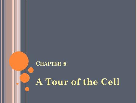 C HAPTER 6 A Tour of the Cell. C H. 6 W ARM -U P 1.What are the 2 main types of cells? Which Domains do they consist of? 2.List 3 ways that eukaryotes.