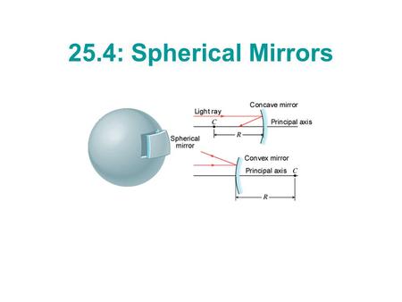 25.4: Spherical Mirrors. Concave Mirror Light rays near and parallel to the principal axis are reflected from a concave mirror and converge at the focal.