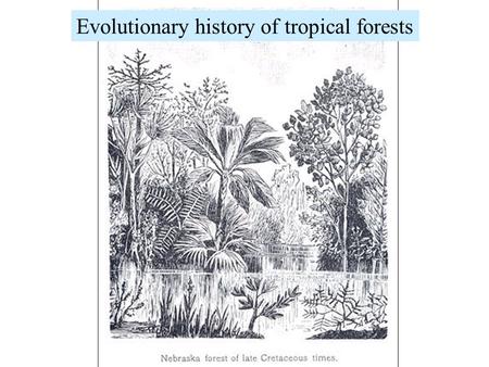 Evolutionary history of tropical forests. Geologic eras: a revision...