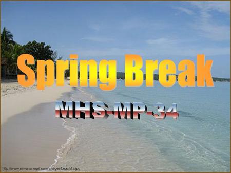 Things to do on Spring Break  During the Spring.