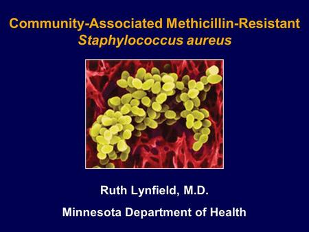 Community-Associated Methicillin-Resistant Staphylococcus aureus Ruth Lynfield, M.D. Minnesota Department of Health.