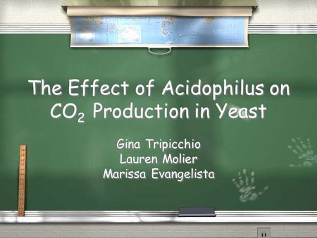 The Effect of Acidophilus on CO 2 Production in Yeast Gina Tripicchio Lauren Molier Marissa Evangelista Gina Tripicchio Lauren Molier Marissa Evangelista.