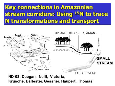 Key connections in Amazonian stream corridors: Using 15 N to trace N transformations and transport ND-03: Deegan, Neill, Victoria, Krusche, Ballester,