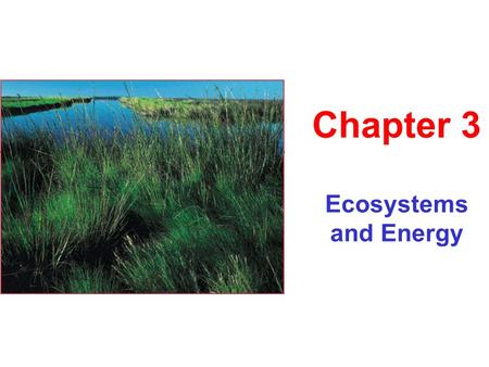 Ecosystems and Energy Chapter 3. Chapter 3 Primary Themes 1.Distinguish ecological levels 2.Define and explain energy 3.Laws of thermodynamics 4.Reactions.