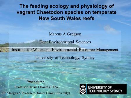 The feeding ecology and physiology of vagrant Chaetodon species on temperate New South Wales reefs Marcus A Gregson Dept Environmental Sciences Institute.