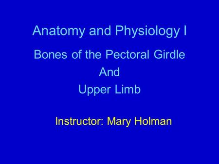 Anatomy and Physiology I Bones of the Pectoral Girdle And Upper Limb Instructor: Mary Holman.