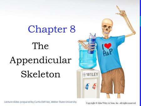 The Appendicular Skeleton