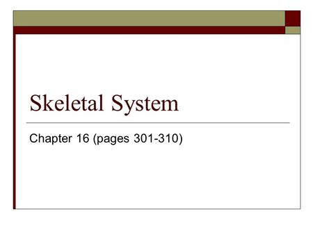 Skeletal System Chapter 16 (pages 301-310). Bones  Living tissue (hard form of connective tissue consisting of osteocytes fixed in a matrix)  Chief.