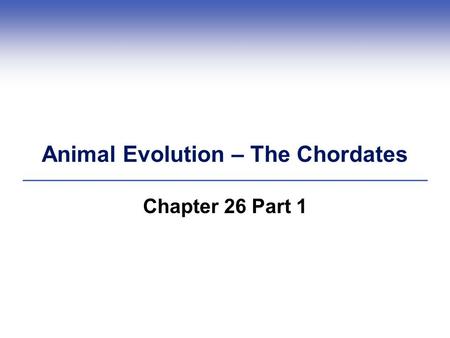 Animal Evolution – The Chordates Chapter 26 Part 1.