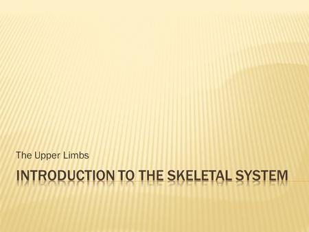 The Upper Limbs.  Histology of Bone Tissue  Bone Function and Structure  Bone Growth & Development  Joints  The Axial Skeleton  The Pectoral Girdle.