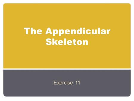 The Appendicular Skeleton Exercise 11. An Introduction to the Appendicular Skeleton The Appendicular Skeleton 126 bones Allows us to move and manipulate.