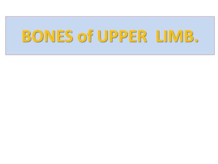 BONES of UPPER LIMB..