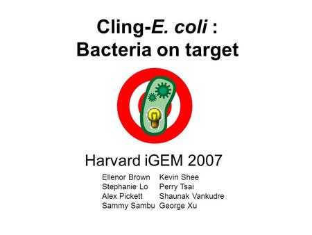 Cling-E. coli : Bacteria on target Harvard iGEM 2007 Ellenor Brown Stephanie Lo Alex Pickett Sammy Sambu Kevin Shee Perry Tsai Shaunak Vankudre George.