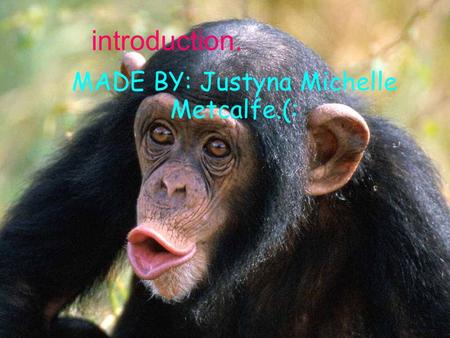 Introduction. MADE BY: Justyna Michelle Metcalfe.(: