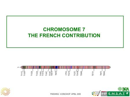 FINISHING WORKSHOP APRIL 2008 CHROMOSOME 7 THE FRENCH CONTRIBUTION TG216 TG438 T1112 T1355 T1328 T1428 T1962 T1414 T1497 T0676 TM18 CT54 T0966 T0731 TM15.