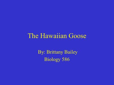 The Hawaiian Goose By: Brittany Bailey Biology 586.