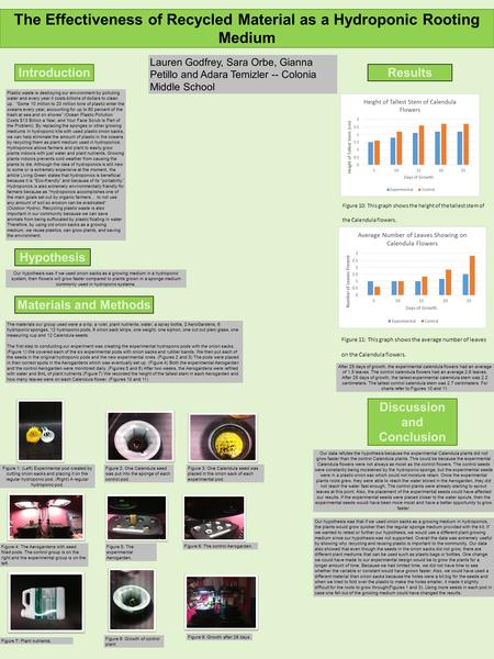 The Effectiveness of Recycled Material as a Hydroponic Rooting Medium Materials and Methods Results Discussion and Conclusion Introduction Lauren Godfrey,