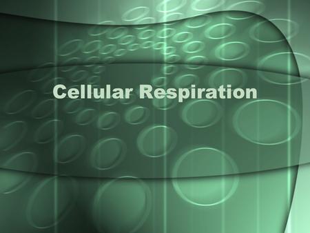 Cellular Respiration 1. g. Students know the role of the mitochondria in making stored chemical-bond energy available to cells by completing the breakdown.