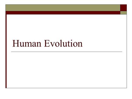 Human Evolution.