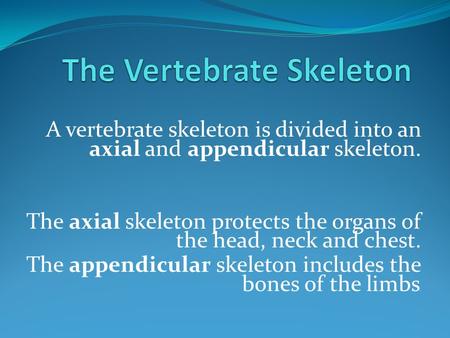 The Vertebrate Skeleton