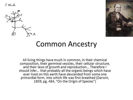 Common Ancestry All living things have much in common, in their chemical composition, their germinal vesicles, their cellular structure, and their laws.