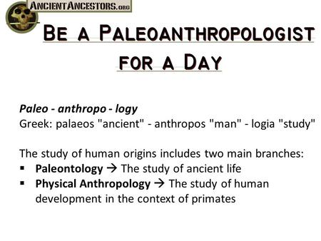 Paleo - anthropo - logy Greek: palaeos ancient - anthropos man - logia study The study of human origins includes two main branches: Paleontology.