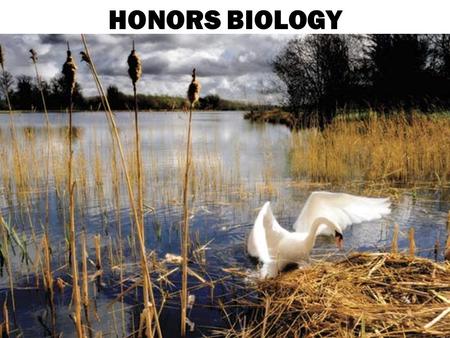 HONORS BIOLOGY. COURSE DESCRIPTION Biology is designed to give students a concise and thorough understanding of living things and how they interact in.