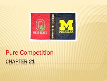 Pure Competition.  Identical product  As long as the price is the same, buyers don’t care which supplier they buy from--- perfect substitutes  Ex-