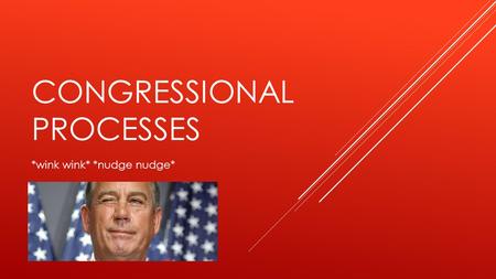 CONGRESSIONAL PROCESSES *wink wink* *nudge nudge*.