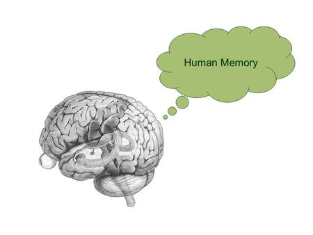 Human Memory. Part 1: D’you remember? Well, it depends…