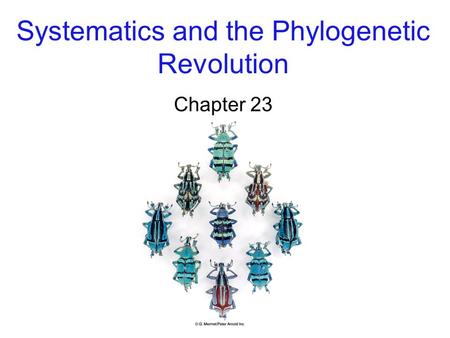 Systematics and the Phylogenetic Revolution Chapter 23.