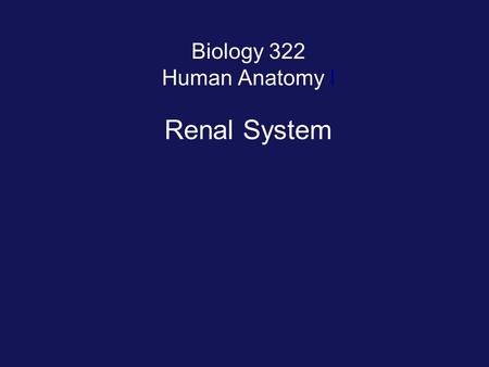 Biology 322 Human Anatomy I Renal System. Organs of Renal System.