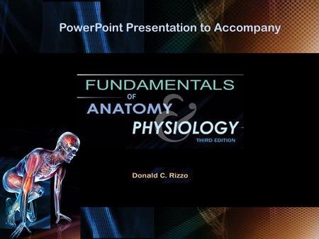 Chapter 18 The Urinary System. Chapter 18 The Urinary System.