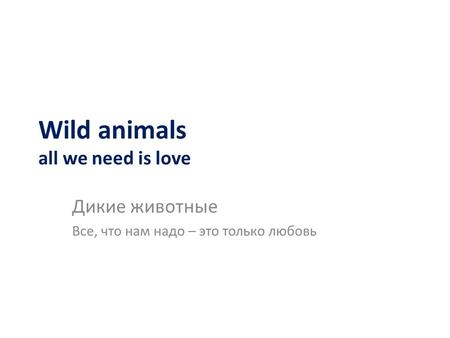 Wild animals all we need is love Дикие животные Все, что нам надо – это только любовь.