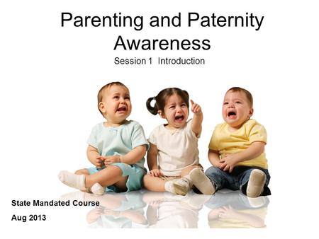 Parenting and Paternity Awareness Session 1 Introduction State Mandated Course Aug 2013.