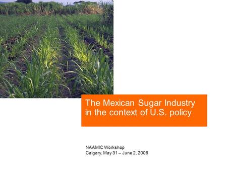 The Mexican Sugar Industry in the context of U.S. policy NAAMIC Workshop Calgary, May 31 – June 2, 2006.