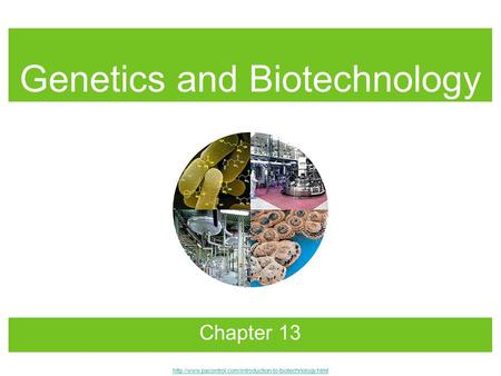 Genetics and Biotechnology