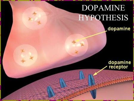 DOPAMINE HYPOTHESIS.