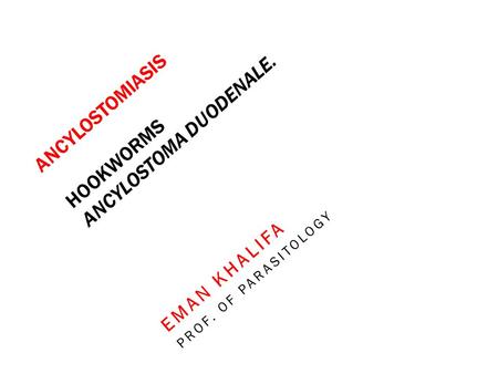 Ancylostomiasis HOOKWORMS Ancylostoma duodenale.