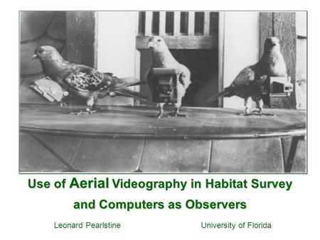 Use of Aerial Videography in Habitat Survey and Computers as Observers Leonard Pearlstine University of Florida.